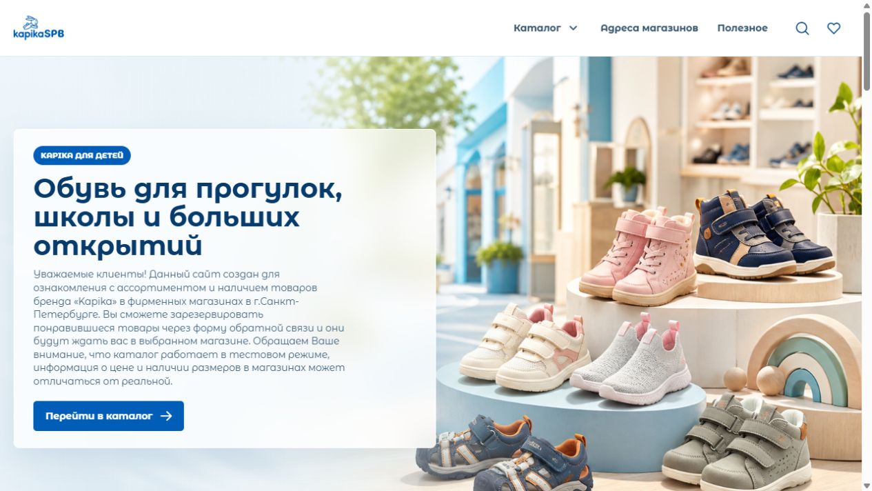 Снимок проекта Капика Санкт-Петербург